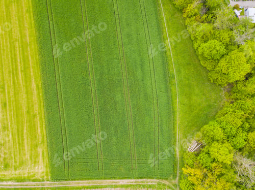 Preview: Aerial View Of Agricultural Field