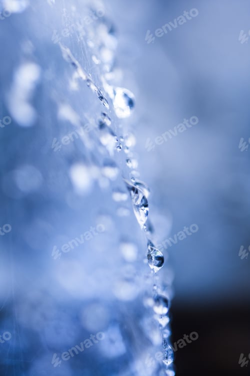 Preview: Abstract Composition With Water Drops, Spiderwebs And Bokeh. Image Has Grain Texture Visible On Its