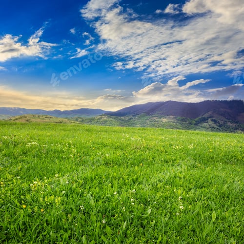 Preview: Mountain Summer Landscape. Meadow On Hillside