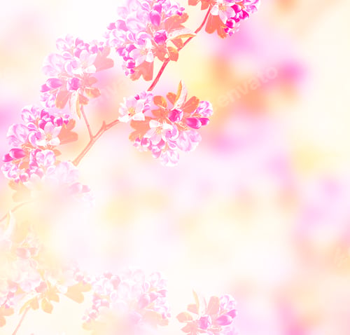 Preview: Blossoming Branch Apple. Bright Colorful Spring Flowers