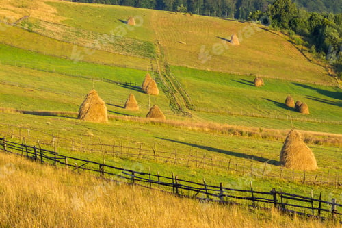 Preview: Summer Landscape. Fence Near The Meadow On The Hillside. Haystack In The Field