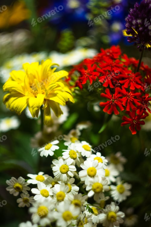 Preview: A Bouquet Of Bright Spring Flowers Of Various Types