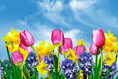 Preview: Spring Flowers On A Background Of Blue Sky With Clouds
