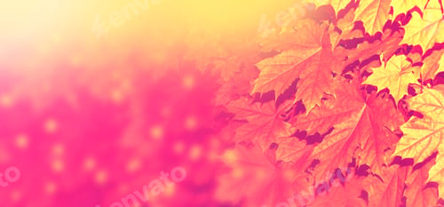Preview: Autumn Landscape With Bright Colorful Leaves. Indian Summer. Foliage. Nature
