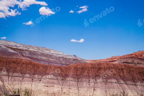 Preview: Red Rocks Of Grand Canyon And Blue Sky. Arizona, United States