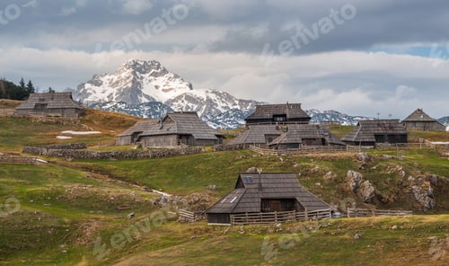 Preview: Spring Crocus At Velika Planina In Slovenia With Old Shepherd Cottages All Around.