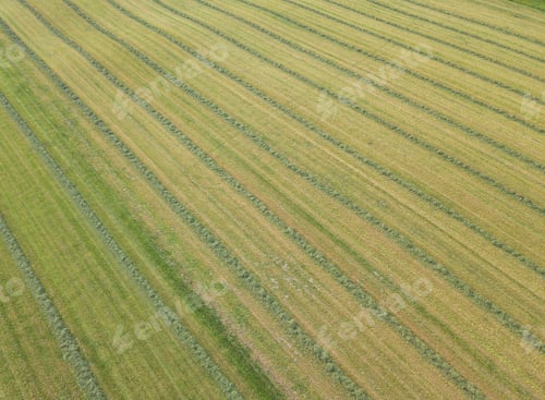 Preview: Aerial View Of Hay Field In Evening Sunlight In Switzerland With