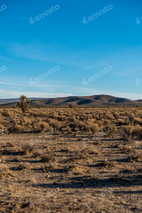 Preview: Beautiful Views Of The Hills And Plants Of The Mojave Desert In The Evening Light. Usa, Nevada