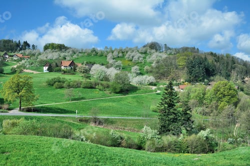 Preview: Springtime In Black Forest Near Sasbachwalden,Baden-Wuerttemberg,Germany