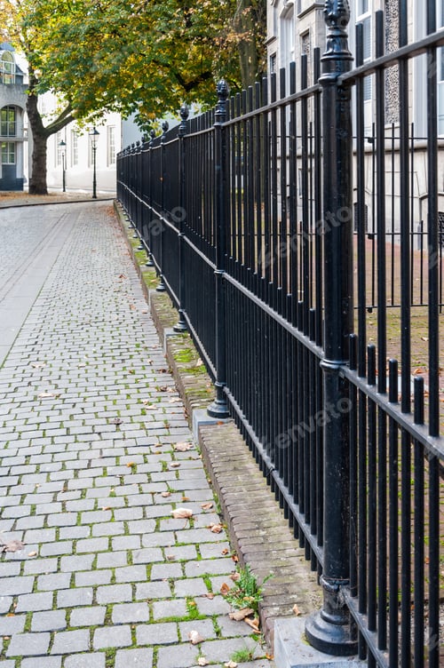 Preview: Street With A Tree In Autumnal Colored Leaves And A Black Steel Fence.