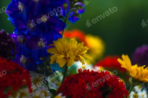 Preview: A Bouquet Of Bright Spring Flowers Of Various Types