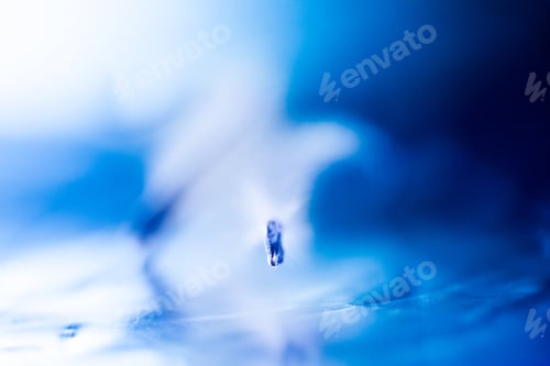 Preview: Abstract Composition With Dried Clematis Seeds And Light