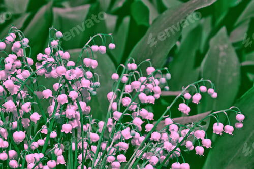 Preview: Spring Landscape. Flowers Lily Of The Valley