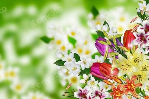 Preview: Floral Background