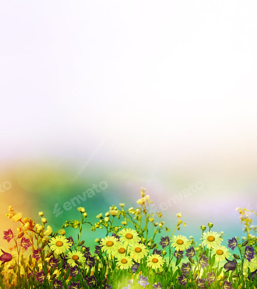Preview: Background Of Flowers. Chamomile Field. Wildflowers Daisies And Bluebells