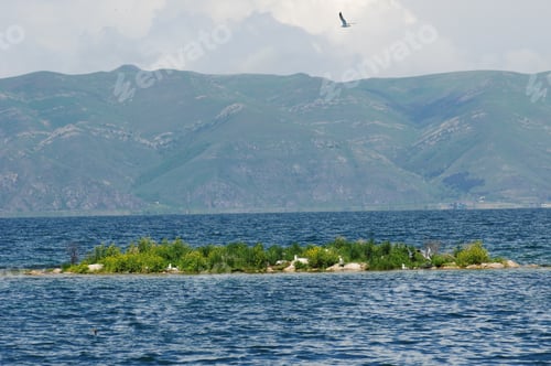 Preview: "Gull Island" In The Lake Sevan, Armenia
