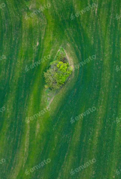 Preview: Agricultural Fields In Montsec Mountain Range Of The Pre-Pyrenees, Pyrenees Mountains In Lleida