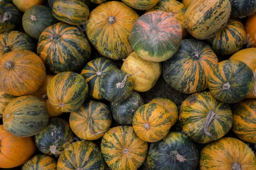 Preview: Halloween Pumpkins In Autumn