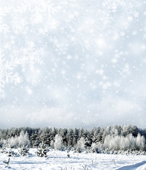 Preview: Winter Forest. Winter Landscape.