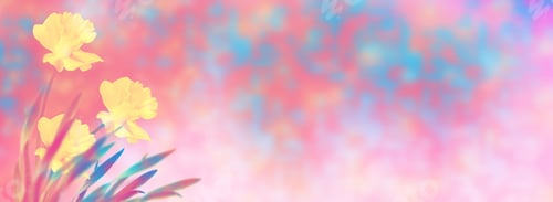 Preview: Bright And Colorful Flowers Of Daffodils On The Background Of The Spring Landscape