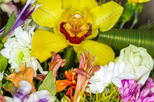 Preview: Beautiful Gift Bouquet Of Various Colorful Decorative Summer Flowers