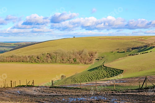 Preview: Monks Down, Wiltshire, In Winter