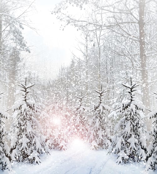 Preview: Winter. Snowfall.