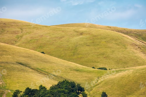 Preview: Beech Forest On Rolling Hills Of Mountain Ridge. Beautiful Scenery With Alpine Meadows. Wonderful