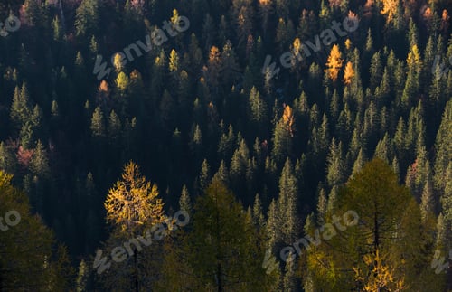 Preview: Autumn In The Valley Of The Seven Lakes In Julian Alps