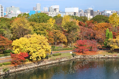 Preview: Osaka, Japan - City And Castle Park View With Autumn Trees.