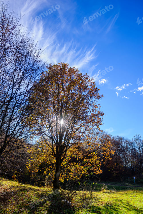 Preview: Beautiful Forest Landscape With Amazing Clouds, Armenia