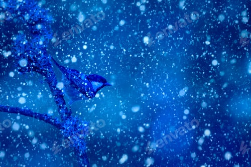 Preview: Winter Season And Birds. Falling Snow. Blue Nature Background.