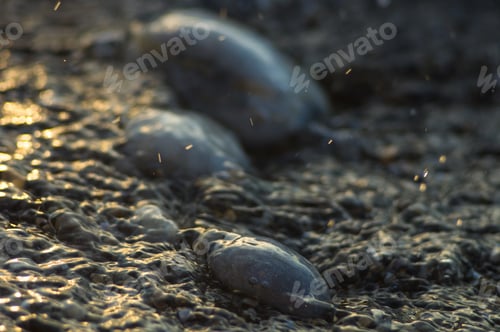 Preview: Pebble Stones On The Sea Beach, The Rolling Waves Of The Sea With Foam
