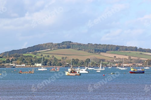 Preview: River Exe, Devon