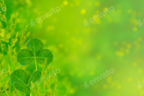 Preview: Green Clover Leaves On A Background Summer Landscape. St.Patrick 'S Day