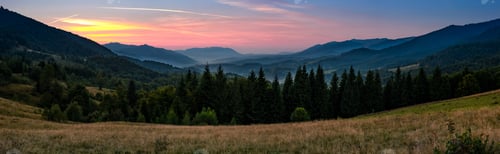Preview: Gorgeous Panorama Of Landscape With Spruce Forest In Mountains. Lovely Scenery With Reddish Sky