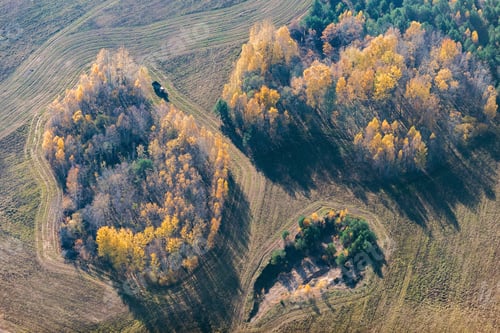 Preview: Aerial View Over The Colourful Trees And Fields In Autumn