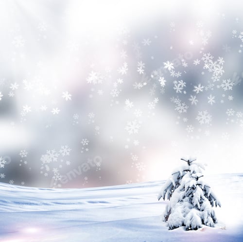 Preview: Winter Forest. Winter Landscape.