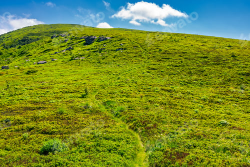 Preview: Footpath Through The Grassy Hills Of The Mountain. Beautiful Summer Scenery In Fine Weather With
