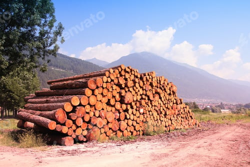 Preview: Lumber In The Mountains Of Italy. Stacked Wood In Dolomites. Filtered Style Toned Color.