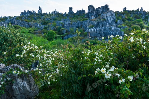 Preview: Ring Itinerary Among Formations Of Limestone In The Stone Forest Located In Shilin Yi Autonomous