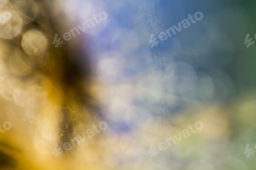 Preview: Natural, Colored Abstract Background With Bokeh
