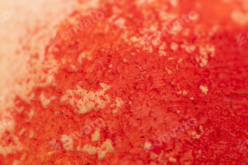 Preview: Dried Granadilla Peel Painted With Red Oil Paint - Abstract Composition And Texture
