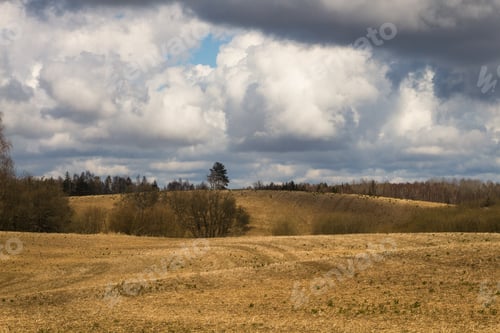 Preview: Processed Cereal Fields In Spring