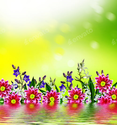 Preview: Floral Array With Water Reflection and Bright Background