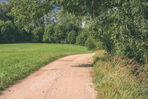 Preview: Country Road Inforest With Pine Trees And Green Meadow - Vintage Effect