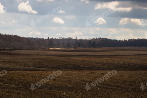 Preview: Processed Cereal Fields In Spring