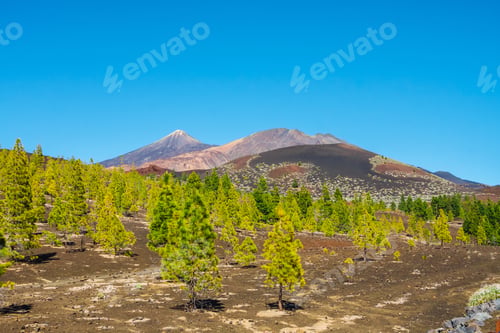 Preview: El Teide Volcano In The Canary Islands With A Blue Sky In The Background, Tenerife, Spain