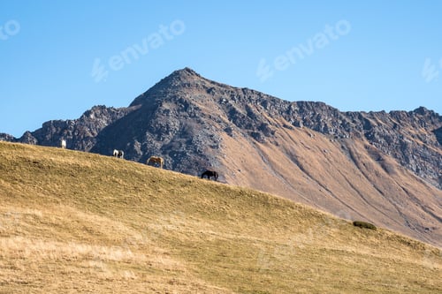 Preview: Col De La Madeleine At 2000 M Altitude, Rhone Alps, France