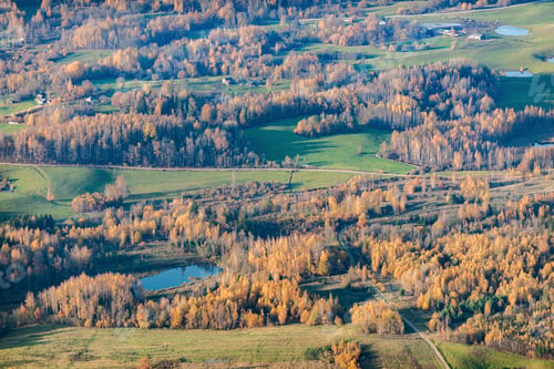 Preview: Aerial View Over The Fields And Forest In Autumn